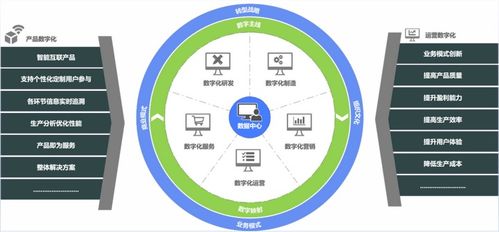 企业数字化转型路径与挑战 基于云的业务外包服务的视角